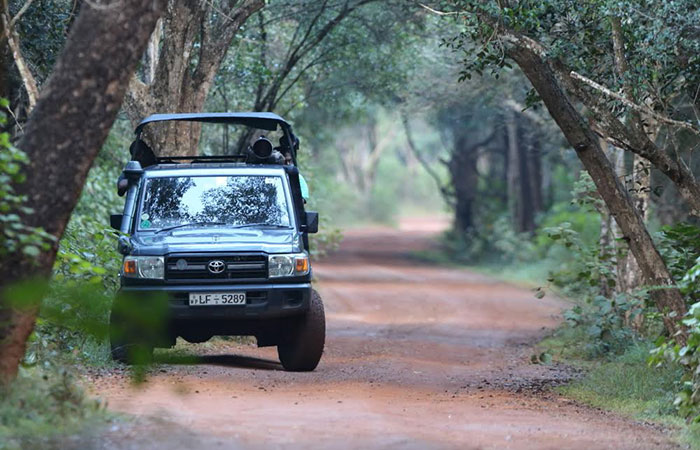 14 Days Diversity Tour